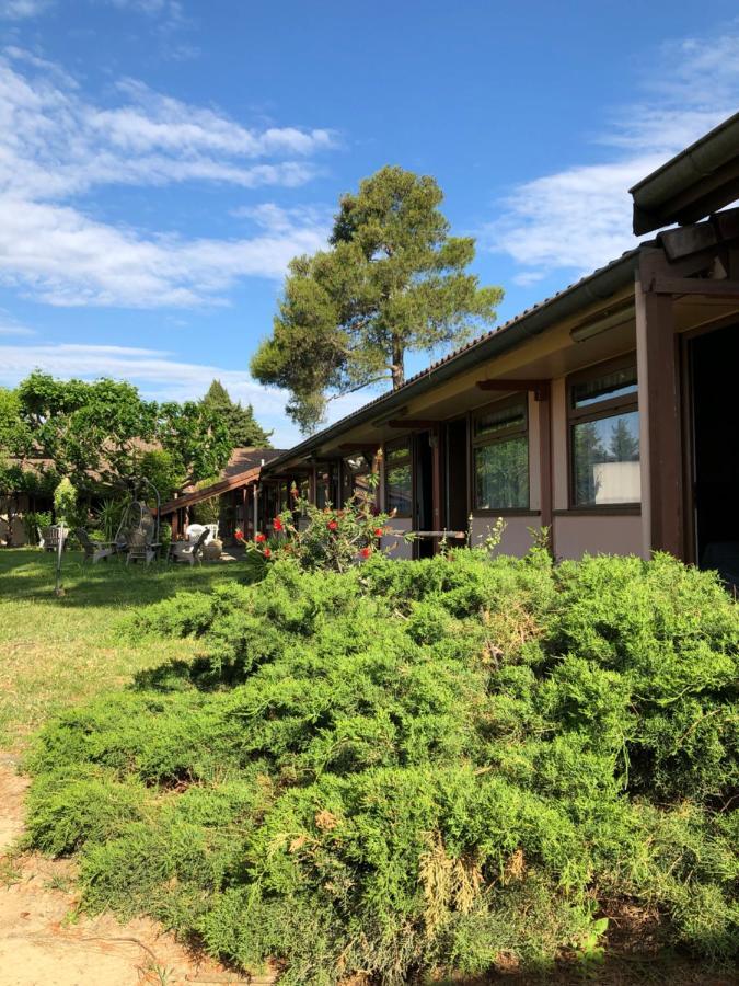 Hotel Cristol Avignon Exterior photo